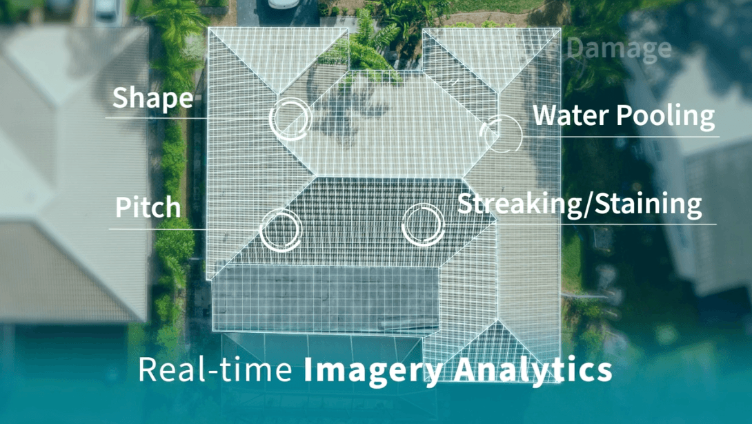 Lexisnexis Insurance